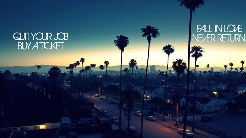 sunset over palm trees