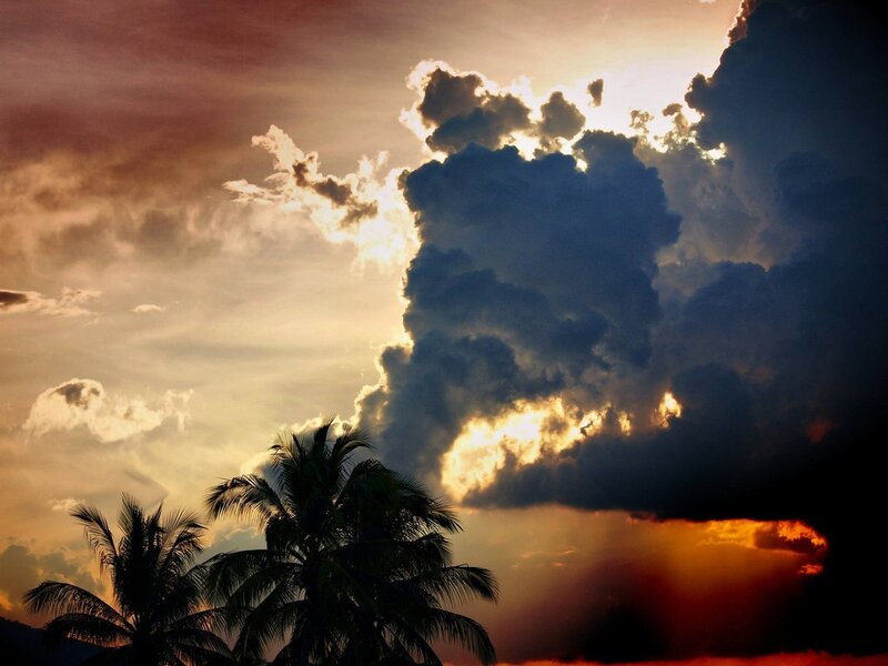 sunset over palm trees