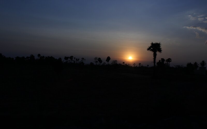 sunset over palm trees