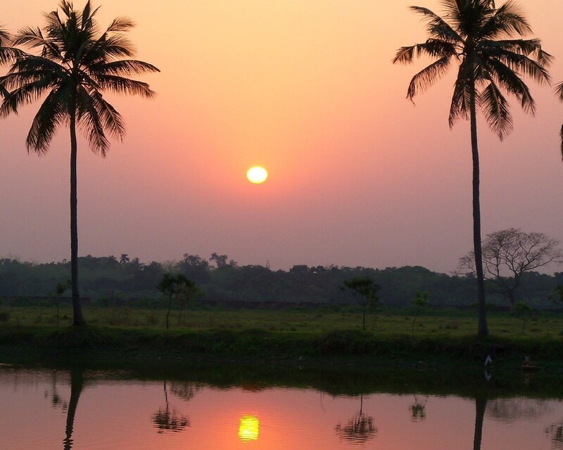 Sunset over palm trees