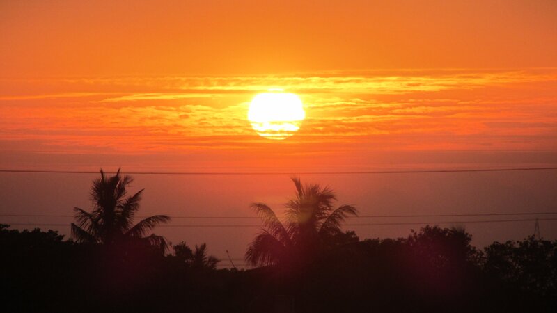 Sunset over palm trees