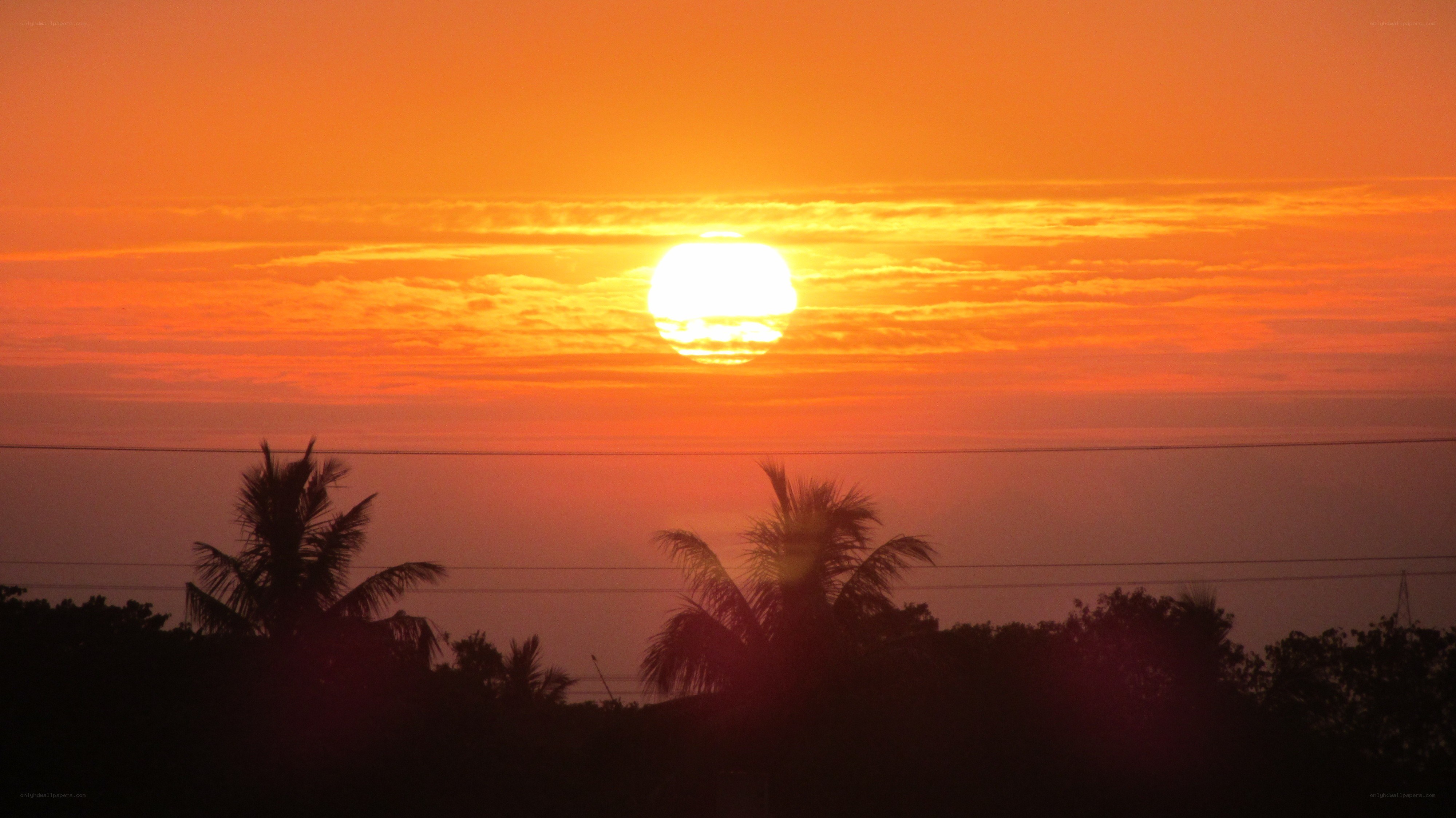 Sunset over palm trees