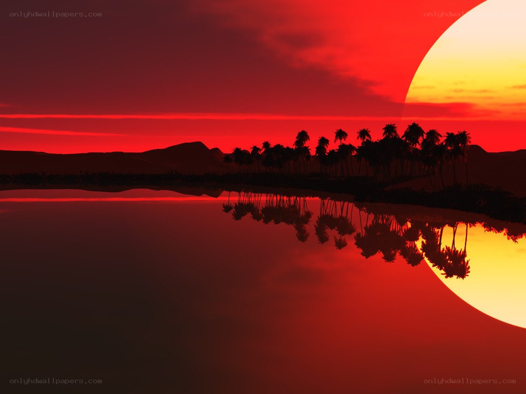 sunset over palm trees