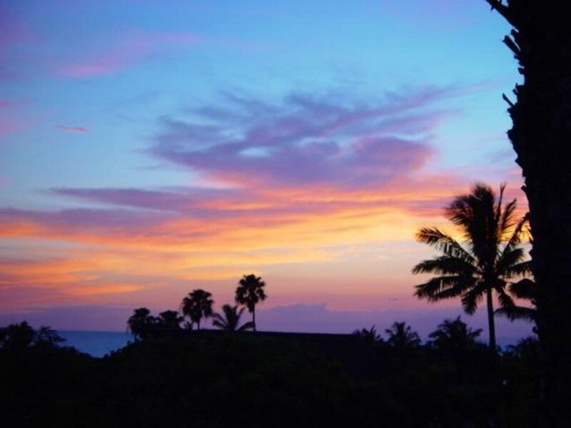 sunset over palm trees