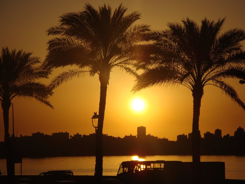 sunset over palm trees