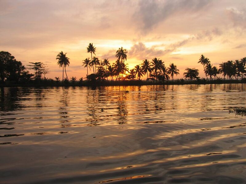 sunset over palm trees