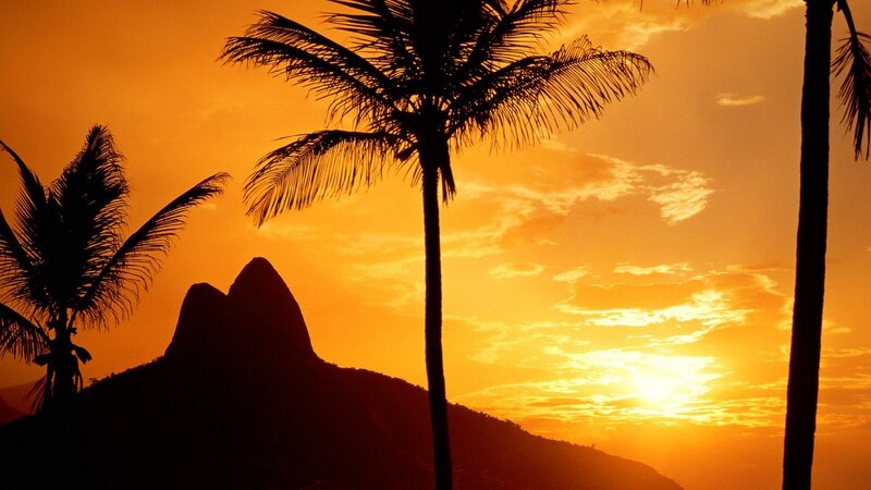 Sunset over palm trees and mountains