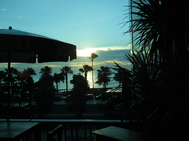 Sunset over Palm Trees — Blue