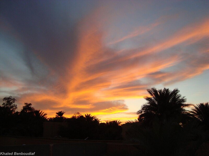 Sunset over Palm Trees — Orange, Dramatic, Photograph, Palm Trees