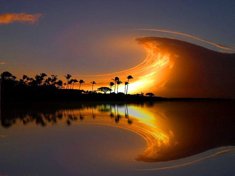 Sunset over Palm Trees — Orange, Dramatic, Photograph