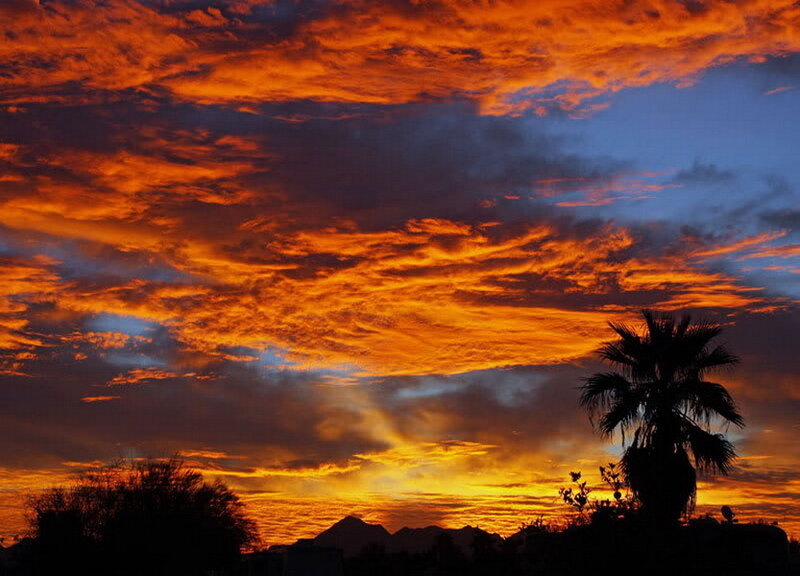Sunset over Palm Trees — Orange