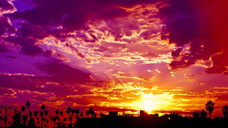 Sunset over Palm Trees — Purple, Dramatic, Photograph