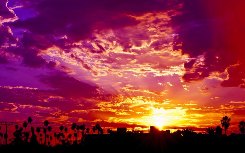 Sunset over Palm Trees — Purple, Dramatic