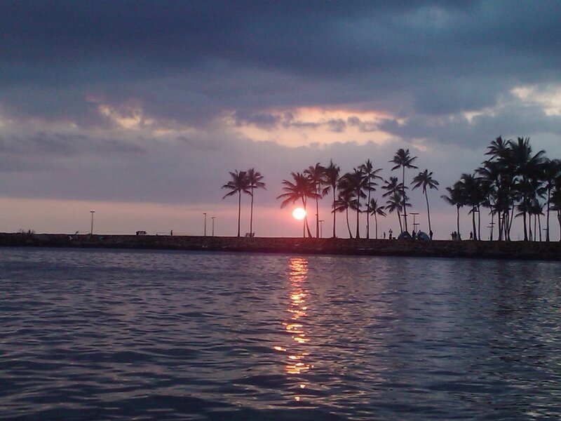 Sunset over Palm Trees — Purple