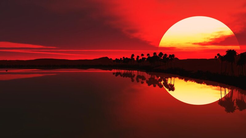 Sunset over Palm Trees — Red, Dramatic, Digital Art, Palm Trees, Lake