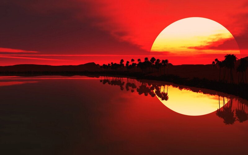 Sunset over Palm Trees — Red, Dramatic, Digital Art, Palm Trees, Reflection, Desert, Orange