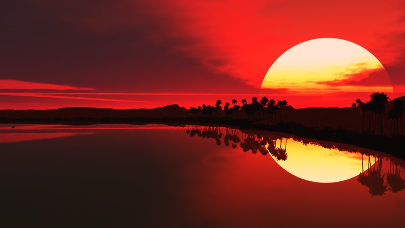 Sunset over Palm Trees — Red, Dramatic, Digital Art, Palm Trees, Reflection, Desert