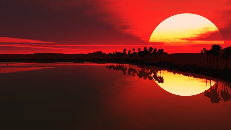 Sunset over Palm Trees — Red, Dramatic, Digital Art, Palm Trees, Sun, Water