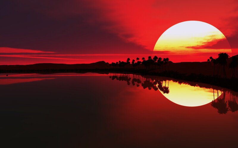 Sunset over Palm Trees — Red, Dramatic, Digital Art, Palm Trees, Sun, Water, Yellow