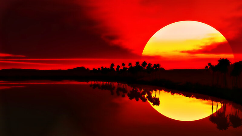 Sunset over Palm Trees — Red, Dramatic, Digital Art, Palm Trees