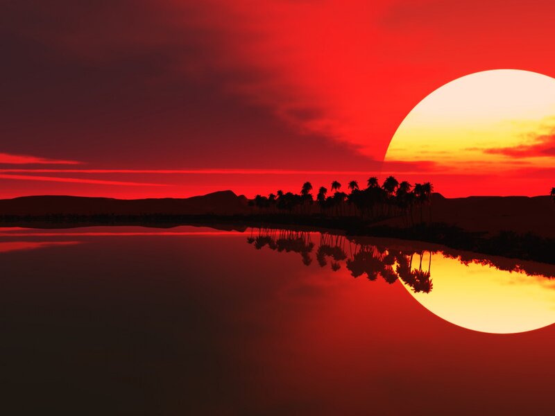 Sunset over Palm Trees — Red, Dramatic, Digital Art, Palm Trees, Water, Mountains