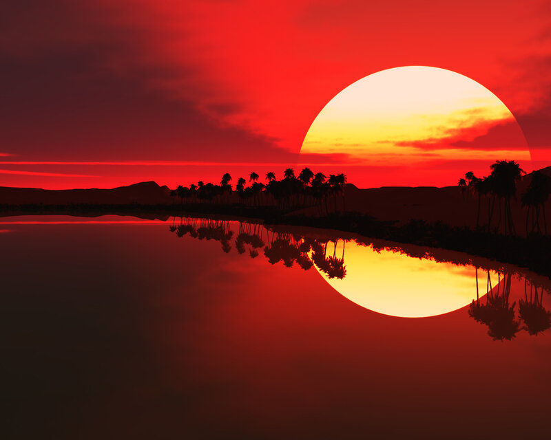Sunset over Palm Trees — Red, Dramatic, Digital Art, Palm Trees, Water
