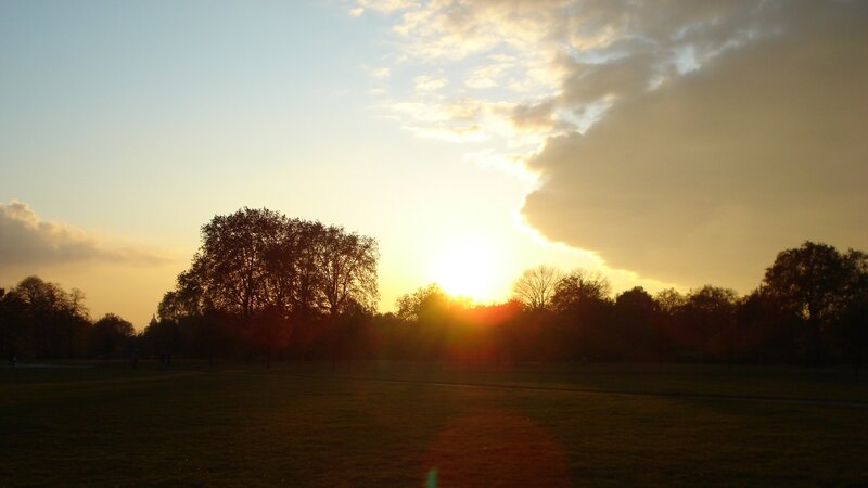 Sunset over Park Trees — Yellow