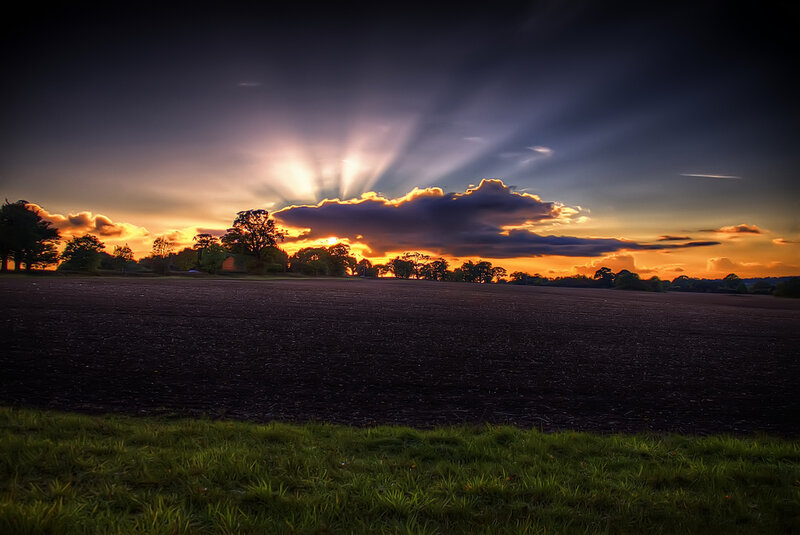 Sunset over Plowed Field