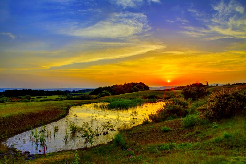 Sunset over Pond and Field