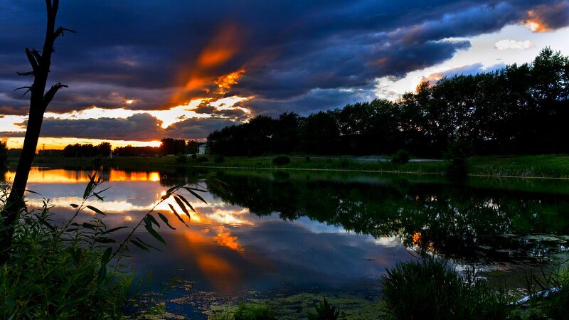 Sunset over Pond — Blue, Dramatic
