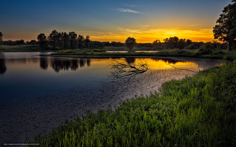 Sunset over Pond — Blue, Serene, Photograph, Trees, Branch, Grass