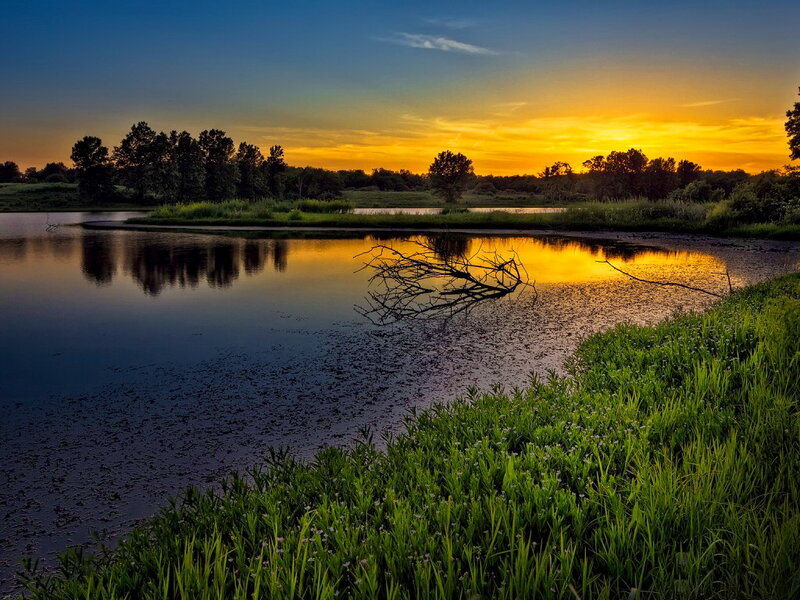 Sunset over Pond — Blue, Serene, Photograph, Trees, Branch