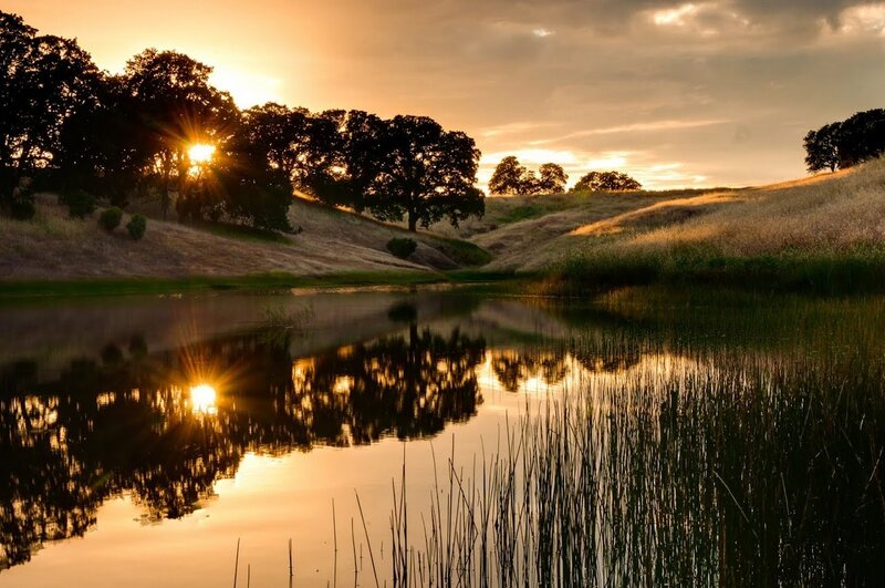 Sunset over Pond — Gold, Serene
