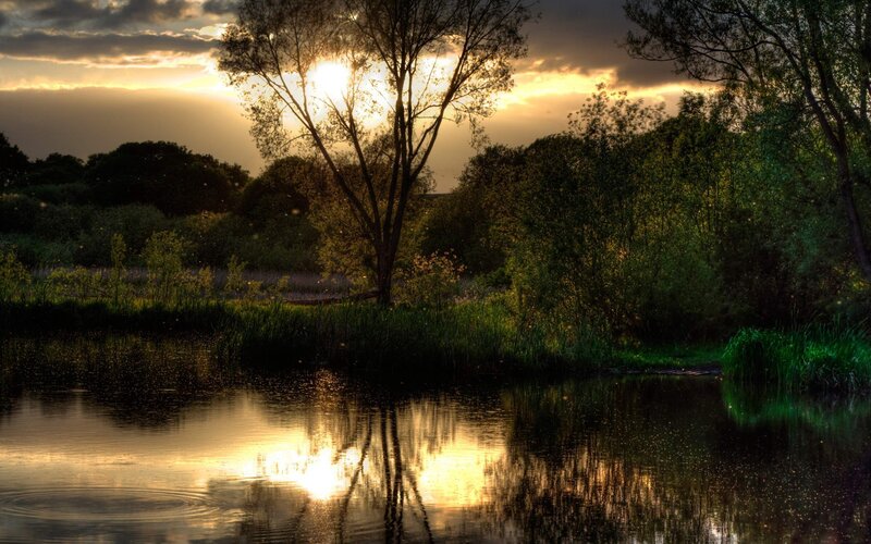 Sunset over Pond — Green, Serene, Photograph