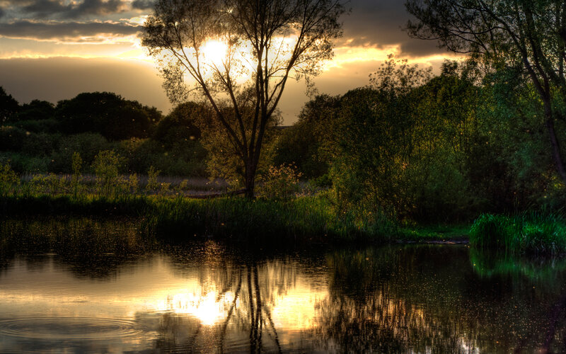 Sunset over Pond — Green, Serene