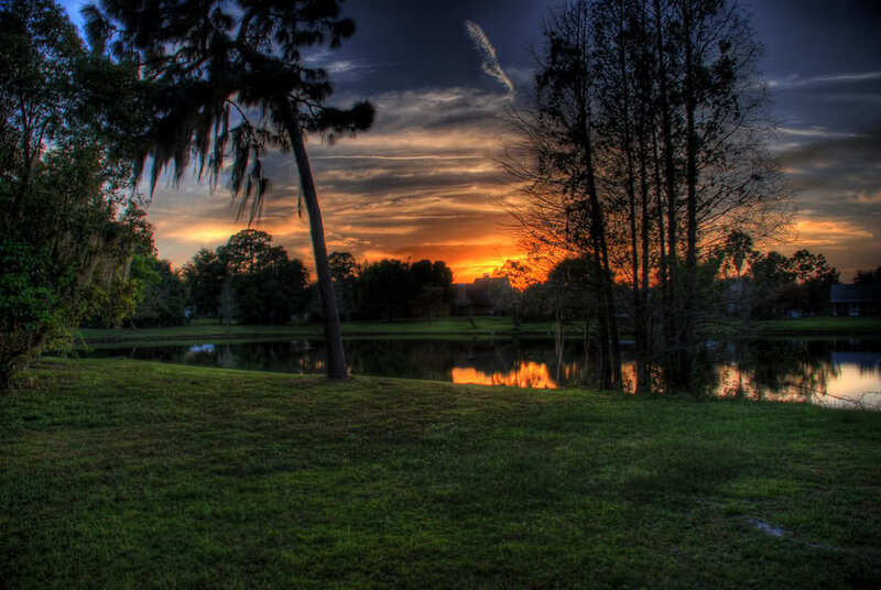 Sunset over Pond — Green