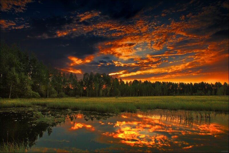 Sunset over Pond — Orange, Dramatic, Photograph, Clouds, Trees, Grass, Blue