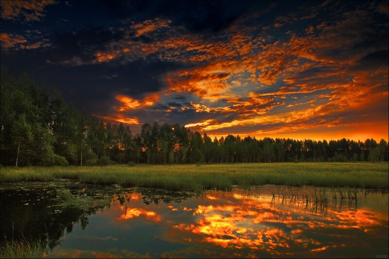 Sunset over Pond — Orange, Dramatic, Photograph, Clouds, Trees, Grass