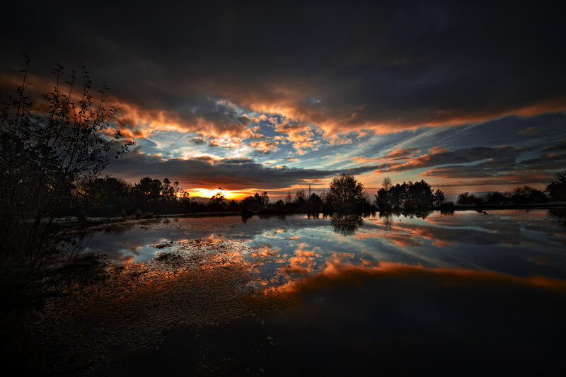 Sunset over Pond — Orange, Dramatic, Photograph, Clouds, Trees, Reflection