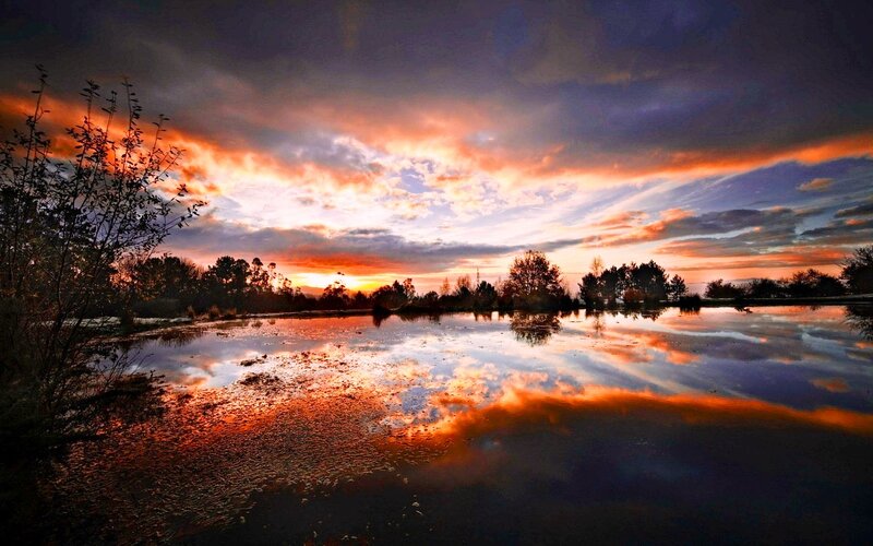 Sunset over Pond — Orange, Dramatic, Photograph, Trees, Clouds