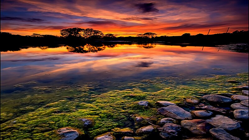 Sunset over Pond — Orange, Dramatic, Photograph, Trees, Rocks