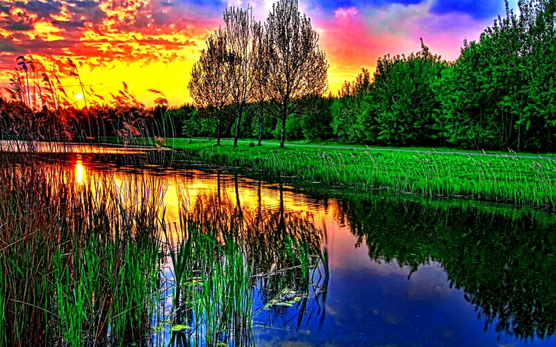 Sunset over Pond — Orange, Dramatic, Photograph, Trees