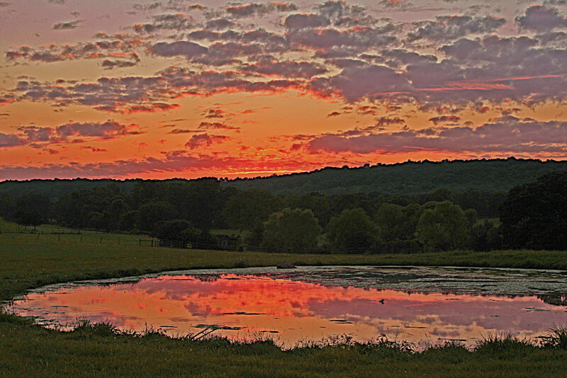 Sunset over Pond — Orange, Serene, Photograph