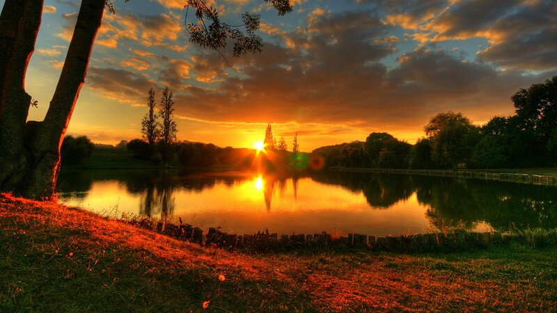 Sunset over Pond — Orange, Serene, Photograph, Tree