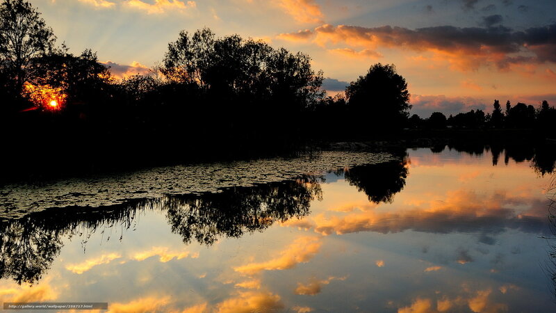 Sunset over Pond — Orange, Serene, Photograph, Trees, Clouds