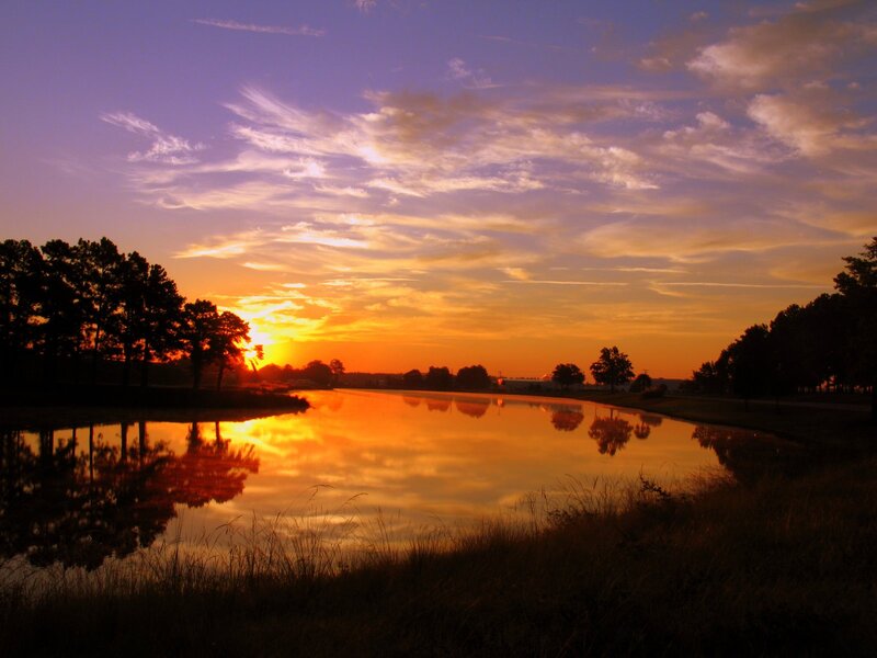 Sunset over Pond — Orange, Serene, Photograph, Trees, Sky, Reflection
