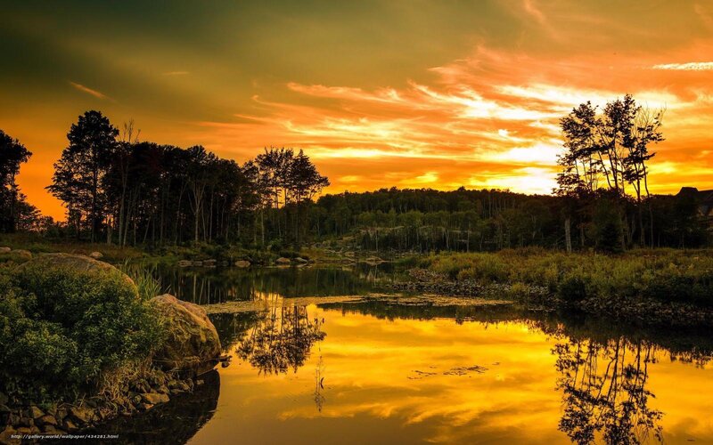 Sunset over Pond — Orange, Serene, Photograph, Trees, Sky, Rocks