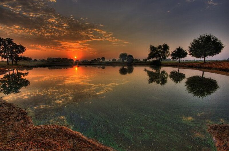 Sunset over Pond — Orange, Serene, Photograph, Trees, Sky