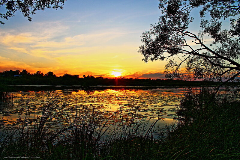 Sunset over Pond — Orange, Serene, Photograph, Trees, Sky, Water