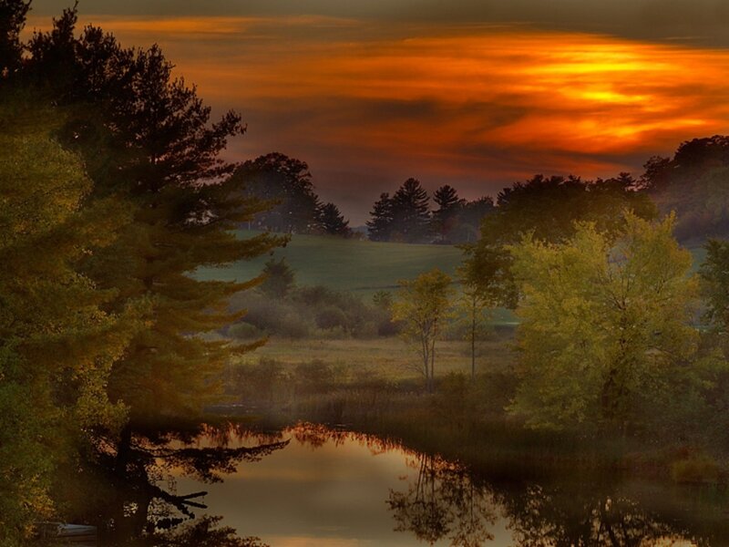 Sunset over Pond — Orange, Serene, Photograph, Trees